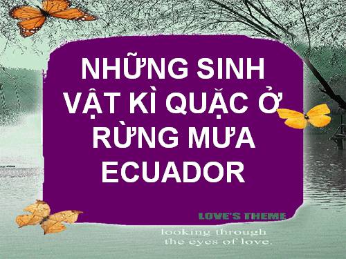 NHỮNG SINH VẬT KÌ QUẶC Ở RỪNG MƯA ECUADOR