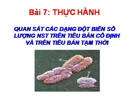 Bài 7. Thực hành: Quan sát các dạng đột biến số lượng nhiễm sắc thể trên tiêu bản cố định và trên tiêu bản tạm thời