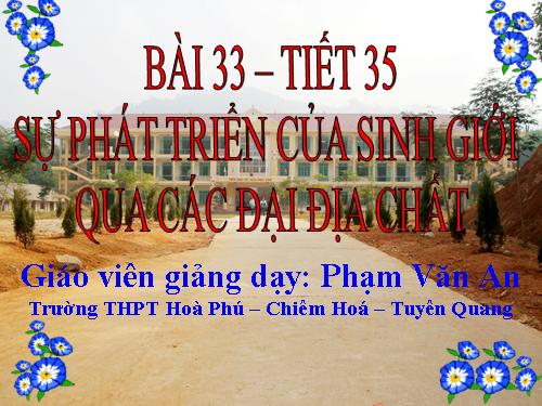 Bài 33. Sự phát triển của sinh giới qua các đại địa chất