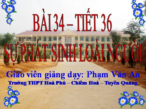 Bài 34. Sự phát sinh loài người