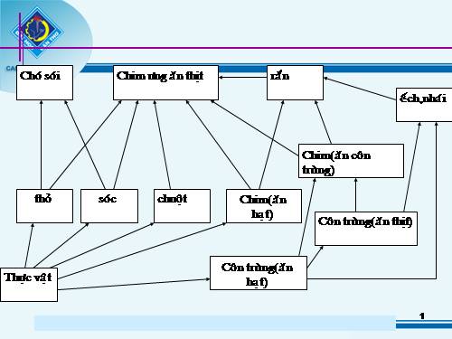 bài giảng phần các mối quan hệ trong quàn xã có hình minh hoạ