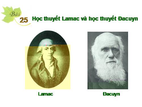 Bài 25. Học thuyết Lamac và học thuyết Đacuyn