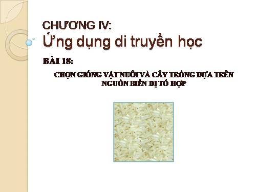 Bài 18. Chọn giống vật nuôi và cây trồng dựa trên nguồn biến dị tổ hợp