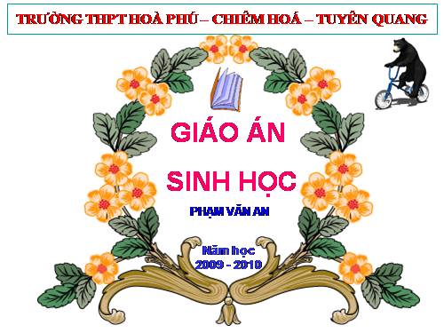 Bài 30. Quá trình hình thành loài (tiếp theo)