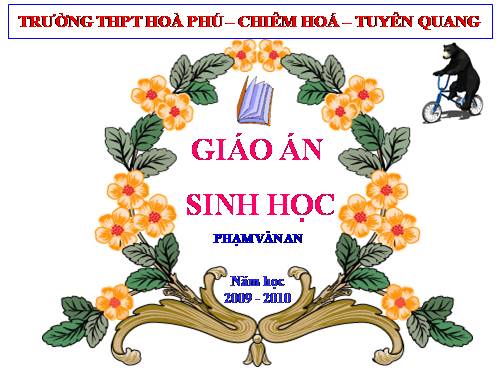 Bài 31. Tiến hoá lớn