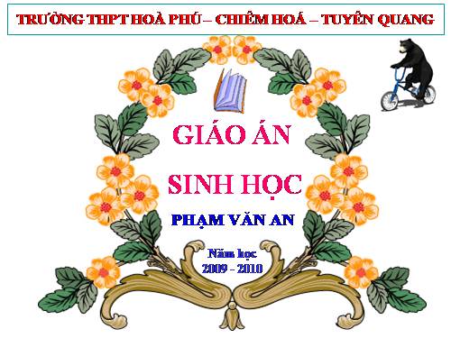 Bài 26. Học thuyết tiến hoá tổng hợp hiện đại