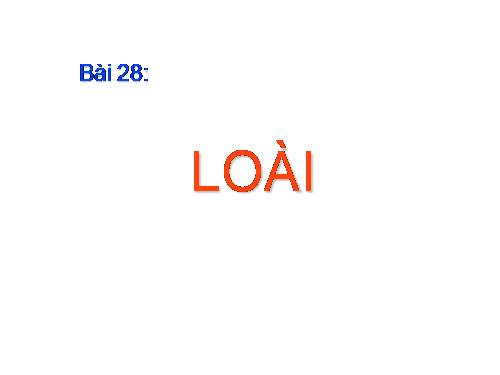 Bài 28. Loài