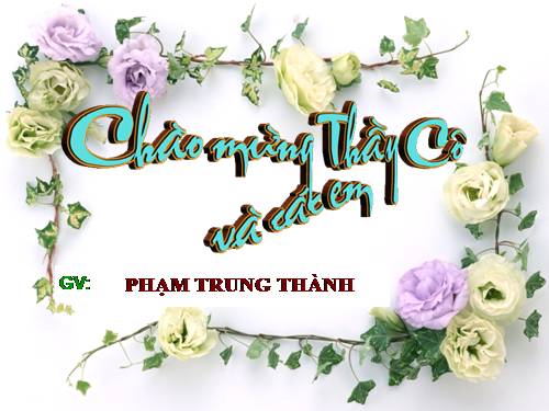 Bài 43. Trao đổi vật chất trong hệ sinh thái