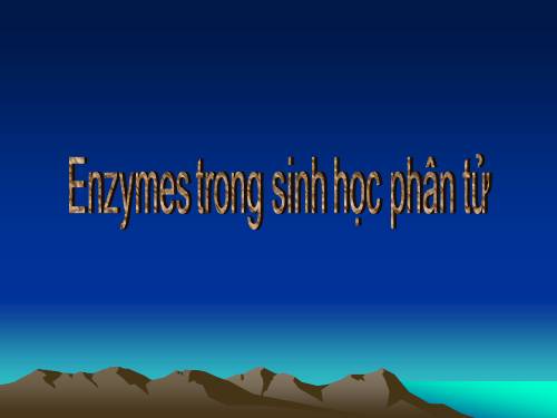 sinh hoc phan tu enzyme