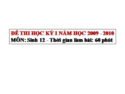 THI THỬ HKI (CÓ ĐA)