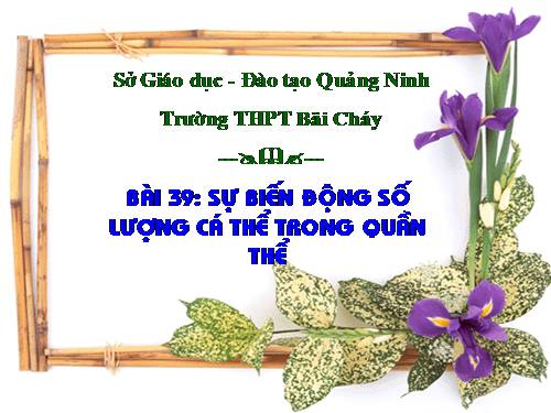 Bài 39. Biến động số lượng cá thể của quần thể sinh vật