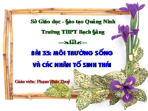 Bài 35. Môi trường sống và các nhân tố sinh thái