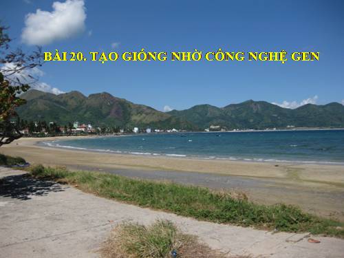 Bài 20. Tạo giống nhờ công nghệ gen