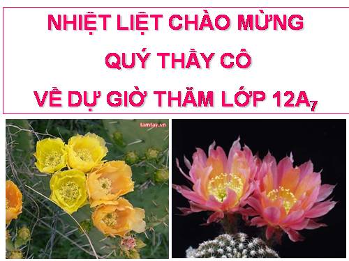 Bài 18. Chọn giống vật nuôi và cây trồng dựa trên nguồn biến dị tổ hợp