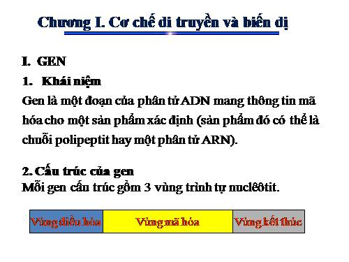 Bài 1. Gen, mã di truyền và quá trình nhân đôi ADN