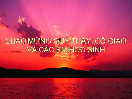 Bài 24. Các bằng chứng tiến hoá