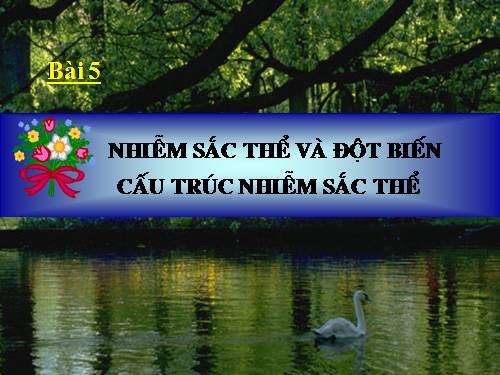 Bài 5. Nhiễm sắc thể và đột biến cấu trúc nhiễm sắc thể