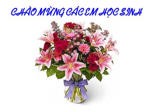 Bài 3. Điều hoà hoạt động gen