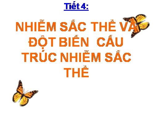 Bài 5. Nhiễm sắc thể và đột biến cấu trúc nhiễm sắc thể