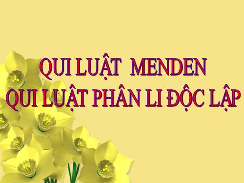 Bài 9. Quy luật Menđen: Quy luật phân li độc lập