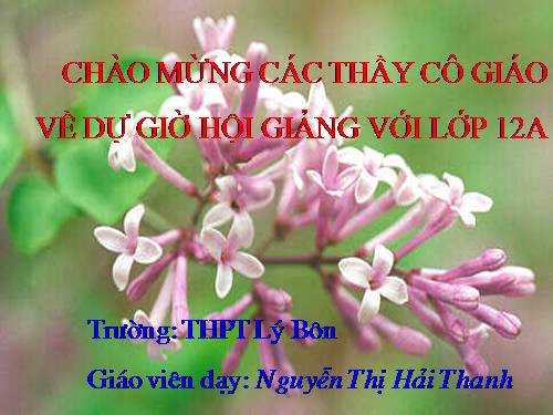 Bài 26. Học thuyết tiến hoá tổng hợp hiện đại