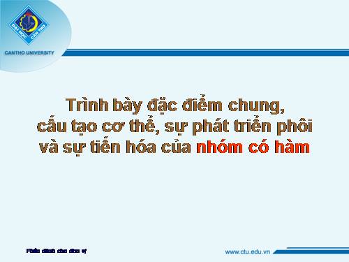 Bài 31. Tiến hoá lớn