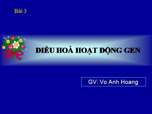 Bài 3. Điều hoà hoạt động gen