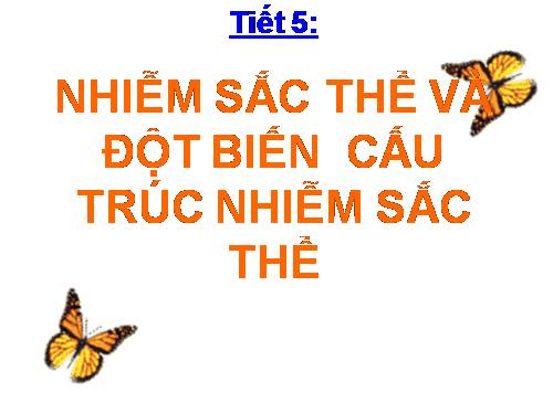 Bài 5. Nhiễm sắc thể và đột biến cấu trúc nhiễm sắc thể