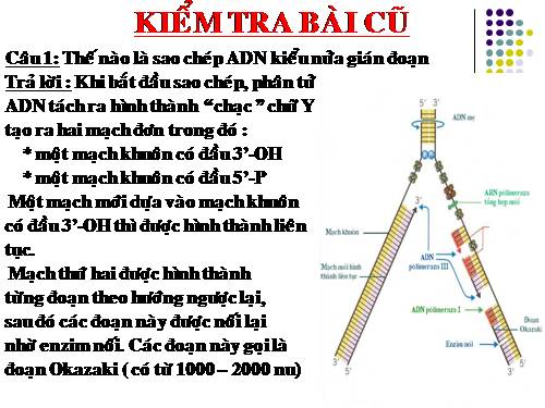 Bài 2. Phiên mã và dịch mã