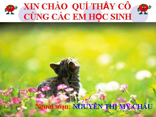 Bài 1. Gen, mã di truyền và quá trình nhân đôi ADN