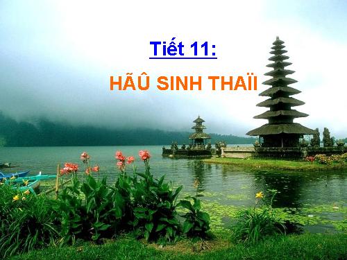 Bài 42. Hệ sinh thái