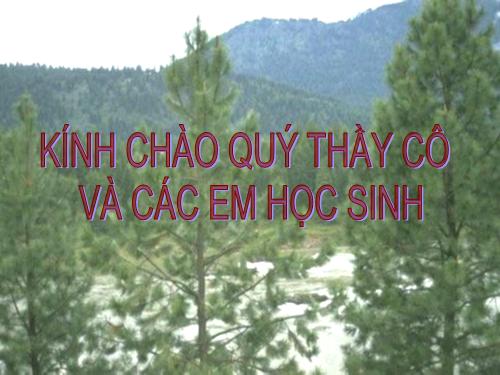 Bài 44. Chu trình sinh địa hóa và sinh quyển