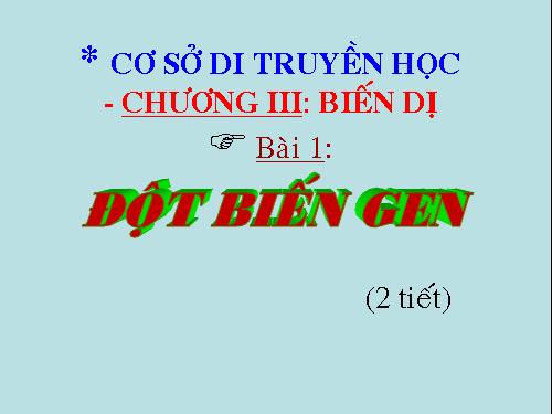 Bài 4. Đột biến gen