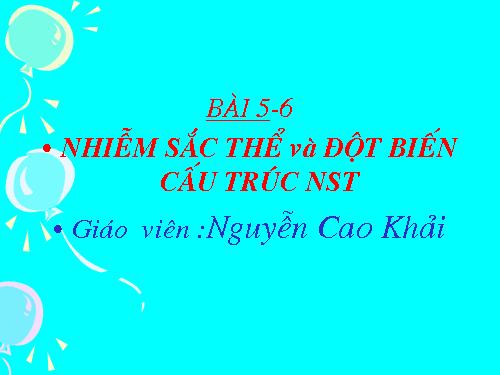 Bài 5. Nhiễm sắc thể và đột biến cấu trúc nhiễm sắc thể