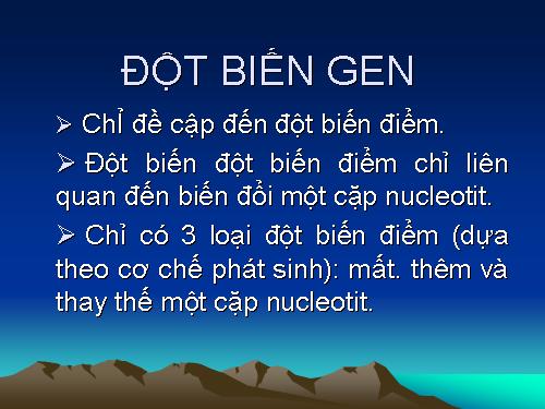 Bài 4. Đột biến gen