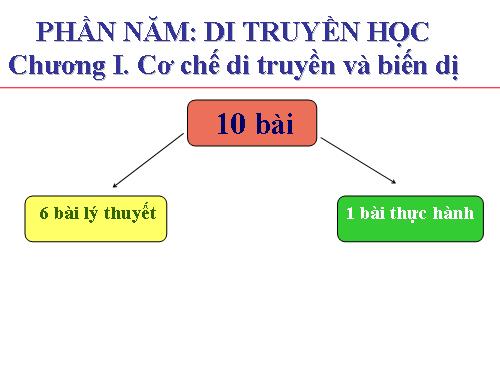 Bài 1. Gen, mã di truyền và quá trình nhân đôi ADN