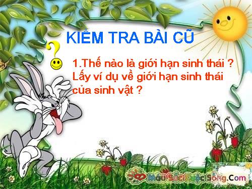 Bài 36. Quần thể sinh vật và mối quan hệ giữa các cá thể trong quần thể