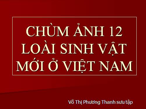 CHÙM ẢNH 12 LOÀI SINH VẬT MỚI Ở VIỆT NAM