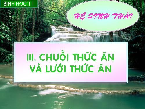 Bài 42. Hệ sinh thái