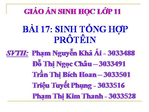 Tổng hợp Protein