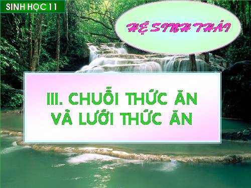 Chưỗi thức ăn