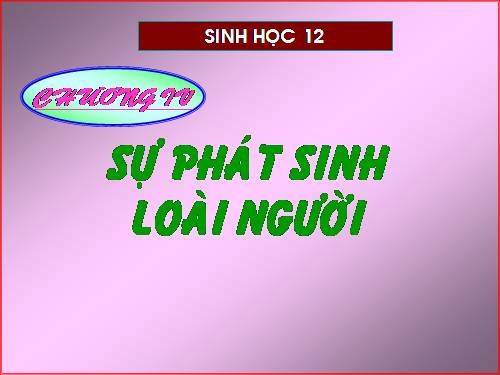 Phát sinh loài người