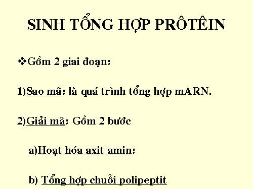 Sinh TH protein