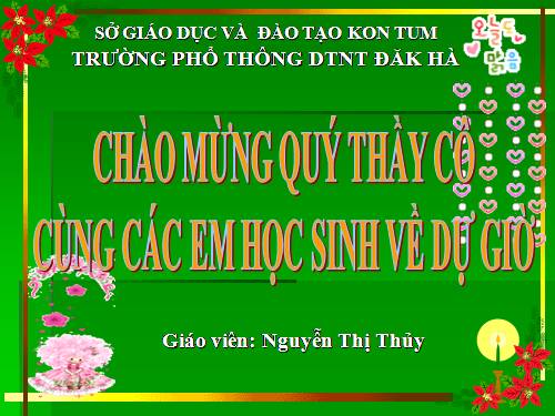 Ôn thi tốt nghiệp: Quần xã sinh vật