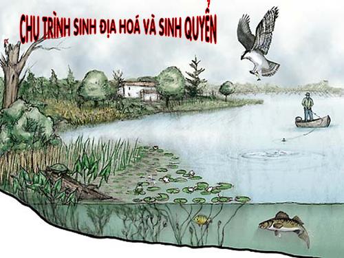 Bài 44. Chu trình sinh địa hóa và sinh quyển