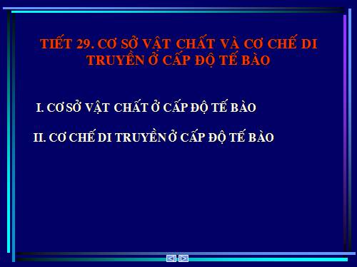 Tiết 29: Cơ sở vật chất và cơ chế di truyền ở cấp độ tế bào