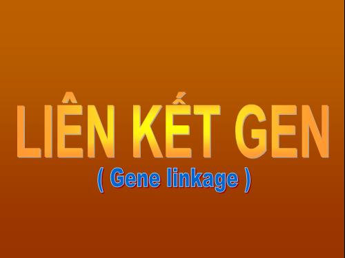 Bài 11. Liên kết gen và hoán vị gen