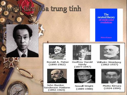 Thuyết tiến hóa trung tính