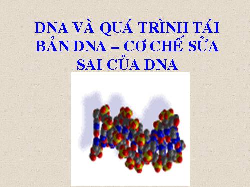 DNA - Cau tao, qua trinh tai ban, co che sua sai