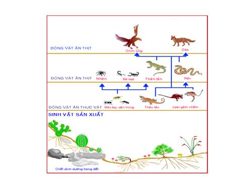 Tư liệu dạy bài Trao đổi chất trong HST